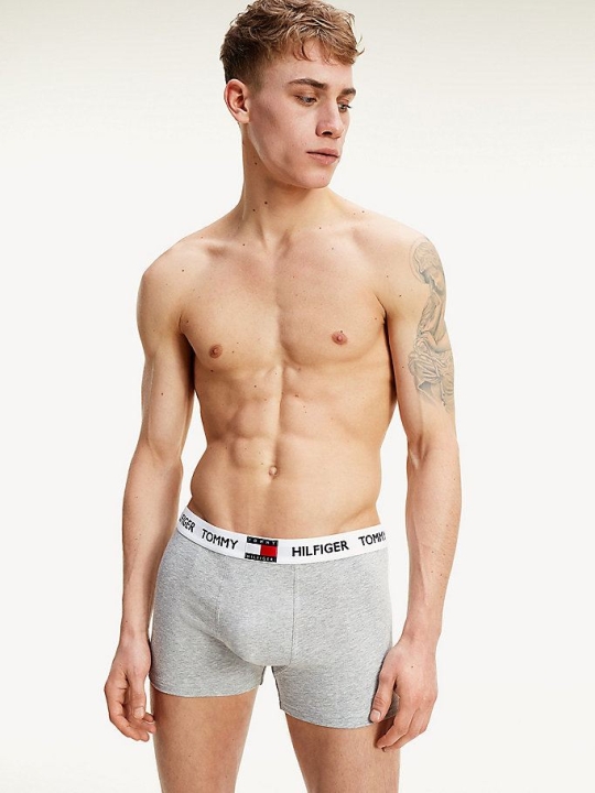 Tommy Hilfiger Logo Waistband Baumwoll Blend Trunks Unterwäsche Herren Hellgrau | AT263NRHZ