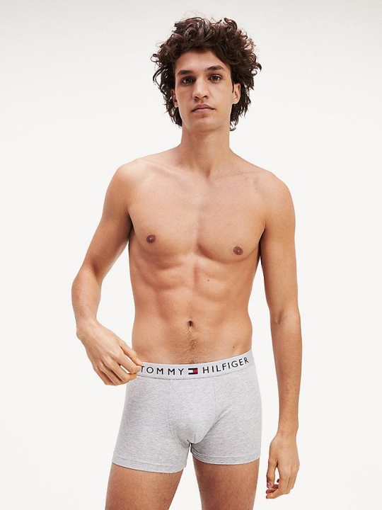 Tommy Hilfiger Logo Waistband Trunks Unterwäsche Herren Grau | AT283KQAY