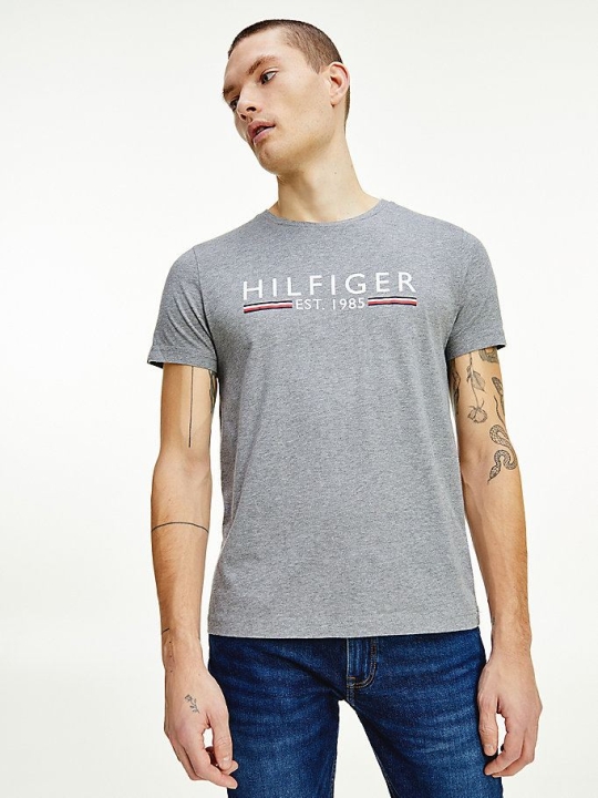 Tommy Hilfiger Organic Baumwoll 1985 Logo T-shirts Herren Silber | AT360UVXK