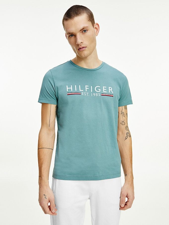 Tommy Hilfiger Organic Baumwoll 1985 Logo T-shirts Herren Grün | AT540WBEI