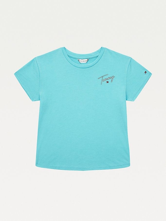 Tommy Hilfiger Signature Logo T-shirts Kinder Blau | AT026FZDG