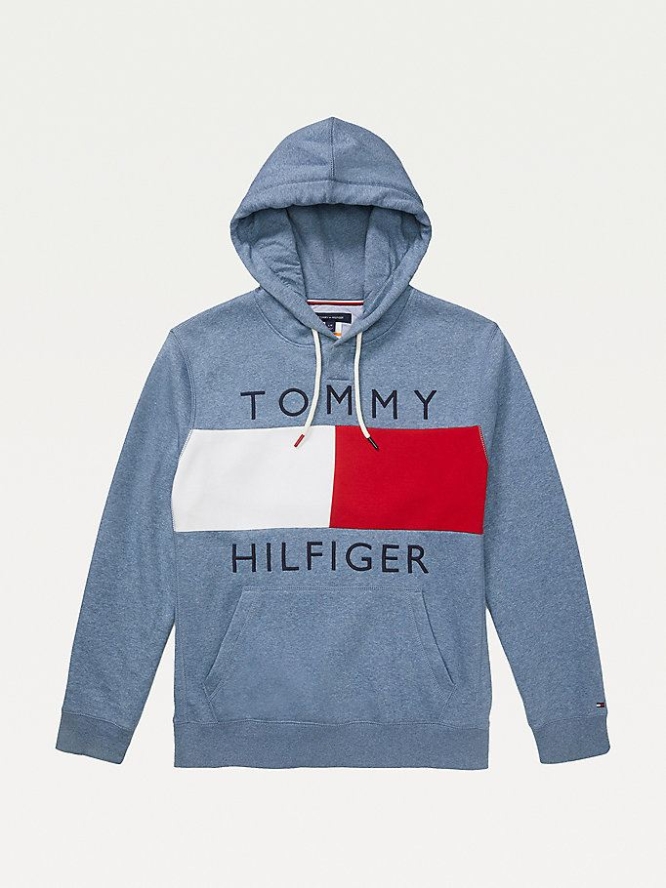 Tommy Hilfiger Adaptive Logo Flag Regular Fit Hoodie Herren Blau | AT753JDOF