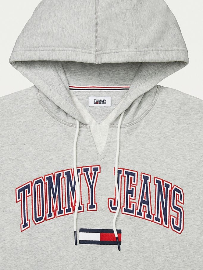 Tommy Hilfiger Adaptive Logo Hoodie Damen Grau | AT293UZDF