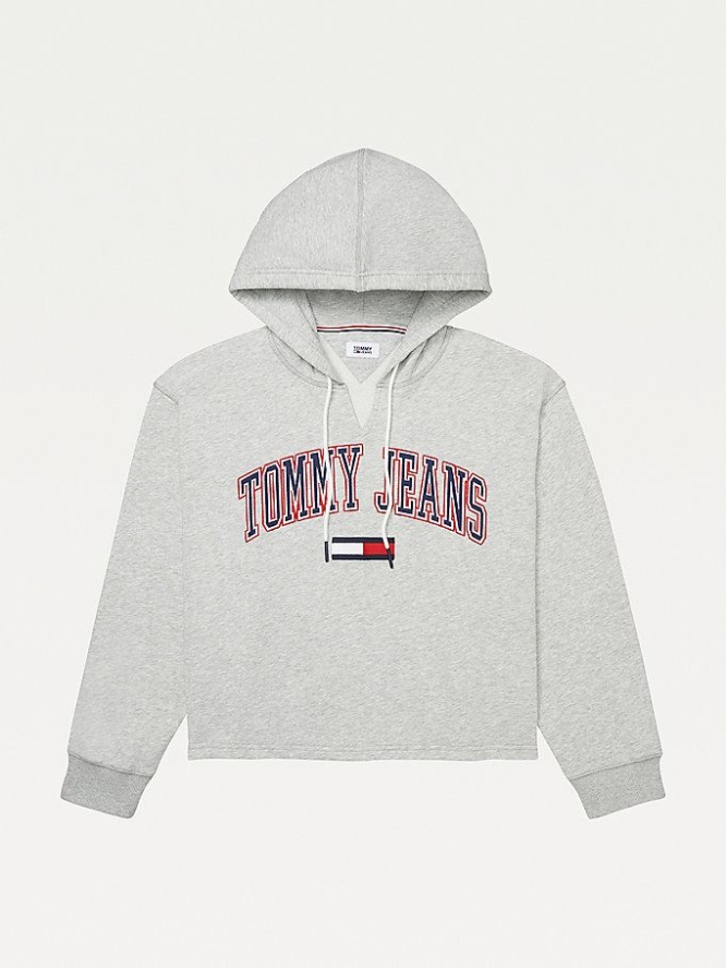 Tommy Hilfiger Adaptive Logo Hoodie Damen Grau | AT293UZDF