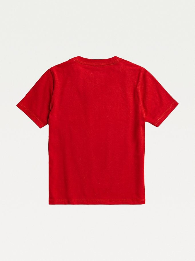 Tommy Hilfiger Adaptive Pure Baumwoll T-shirts Kinder Rot | AT341OWCZ