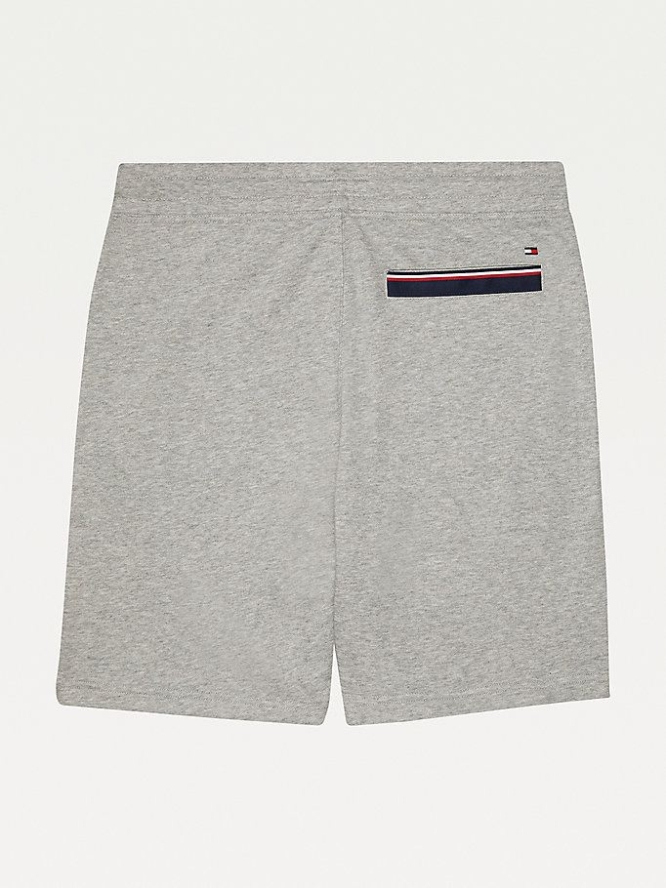 Tommy Hilfiger Adaptive Regular Fit Kurze Hose Herren Grau | AT132EDLS