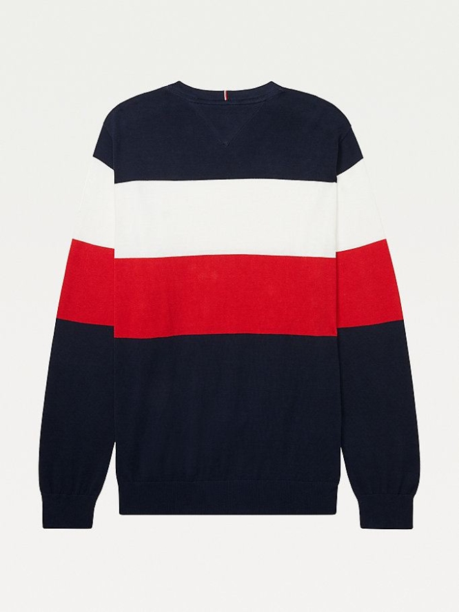 Tommy Hilfiger Adaptive Stripe Pure Baumwoll Jumper Pullover Herren Dunkelblau | AT516LKWD