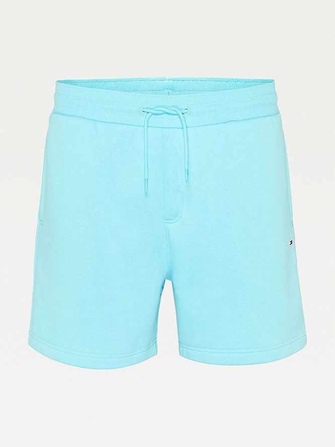 Tommy Hilfiger Beach Kurze Hose Herren Blau | AT374TKUI