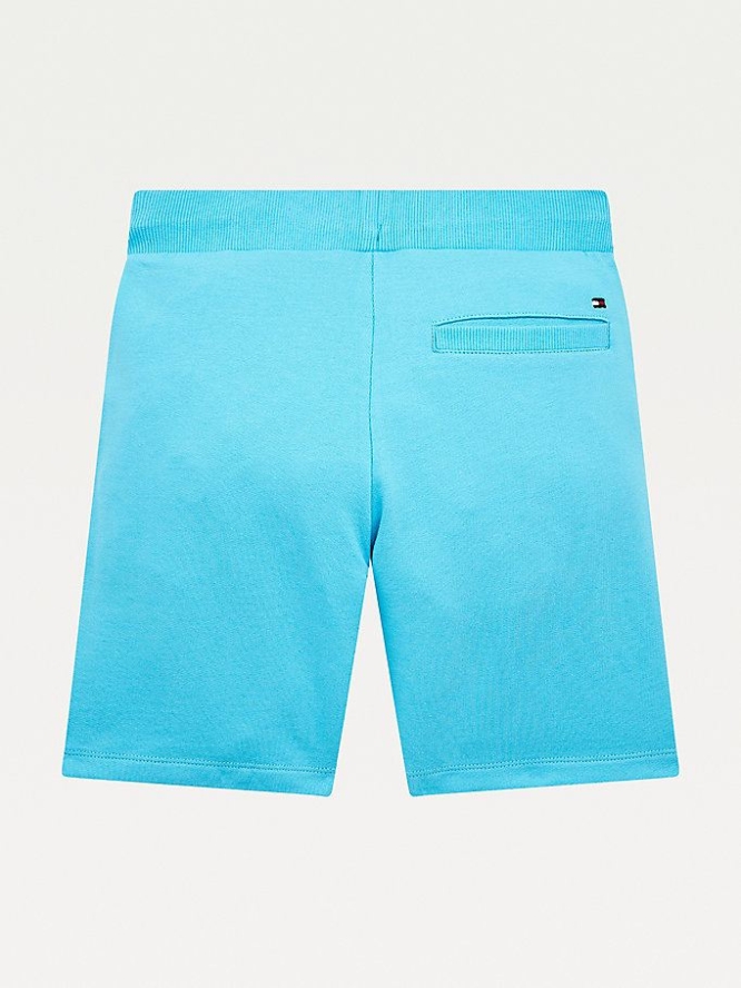 Tommy Hilfiger Essential Organic Baumwoll Jogger Kurze Hose Kinder Grau Blau | AT239NMOA