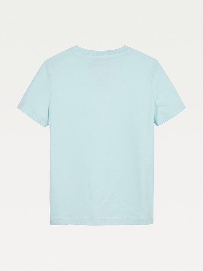 Tommy Hilfiger Essential Organic Baumwoll T-shirts Kinder Blau | AT497WRXU