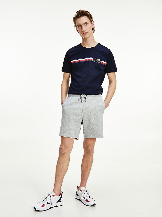 Tommy Hilfiger Essential Organic Baumwoll Sweat Kurze Hose Herren Hellgrau | AT871CSYK