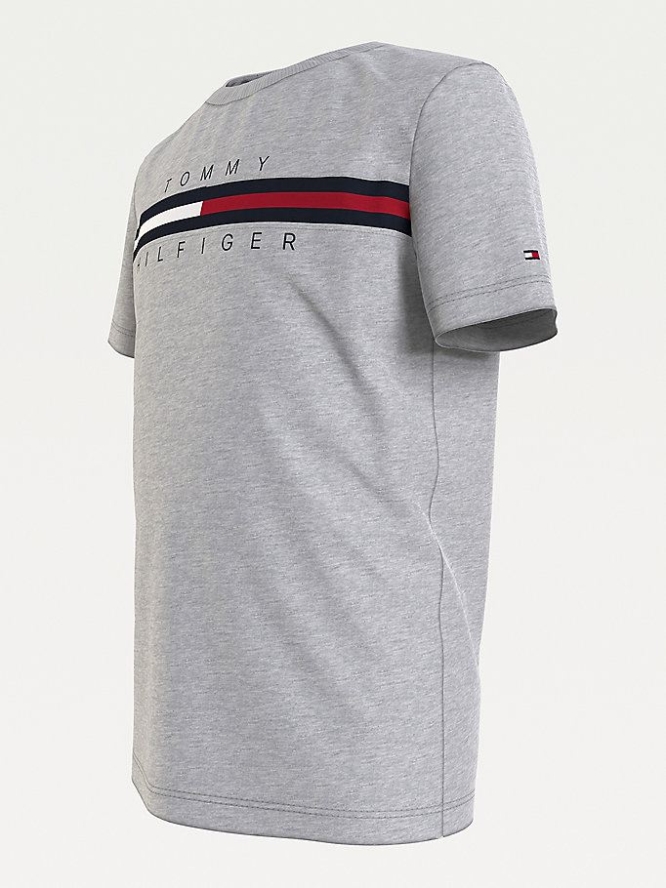 Tommy Hilfiger Flag Logo Crew Neck T-shirts Kinder Hellgrau | AT574OEJM