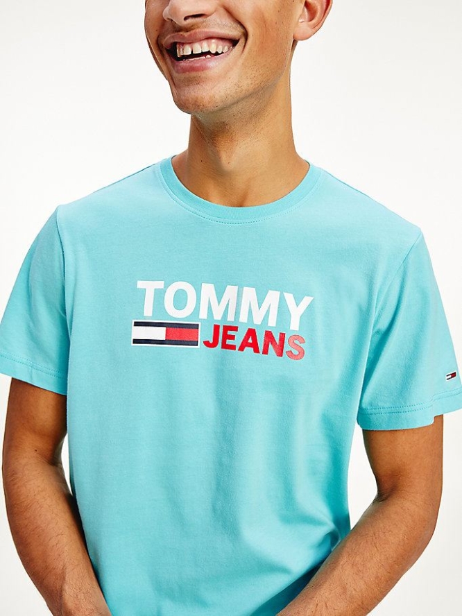 Tommy Hilfiger Large Logo Organic Baumwoll T-shirts Herren Blau | AT139JHBM