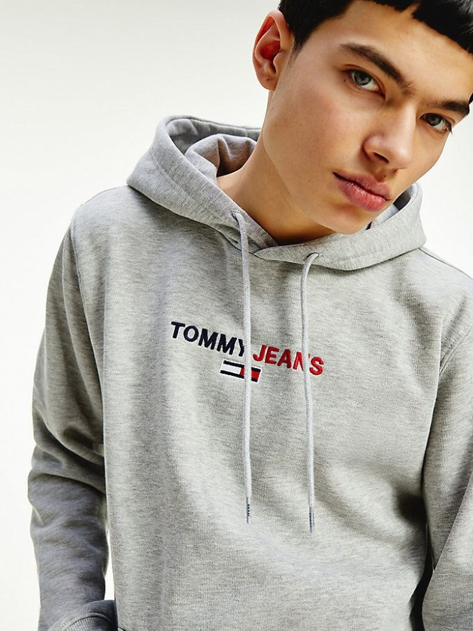 Tommy Hilfiger Linear Logo Hoodie Herren Hellgrau | AT520YBVR