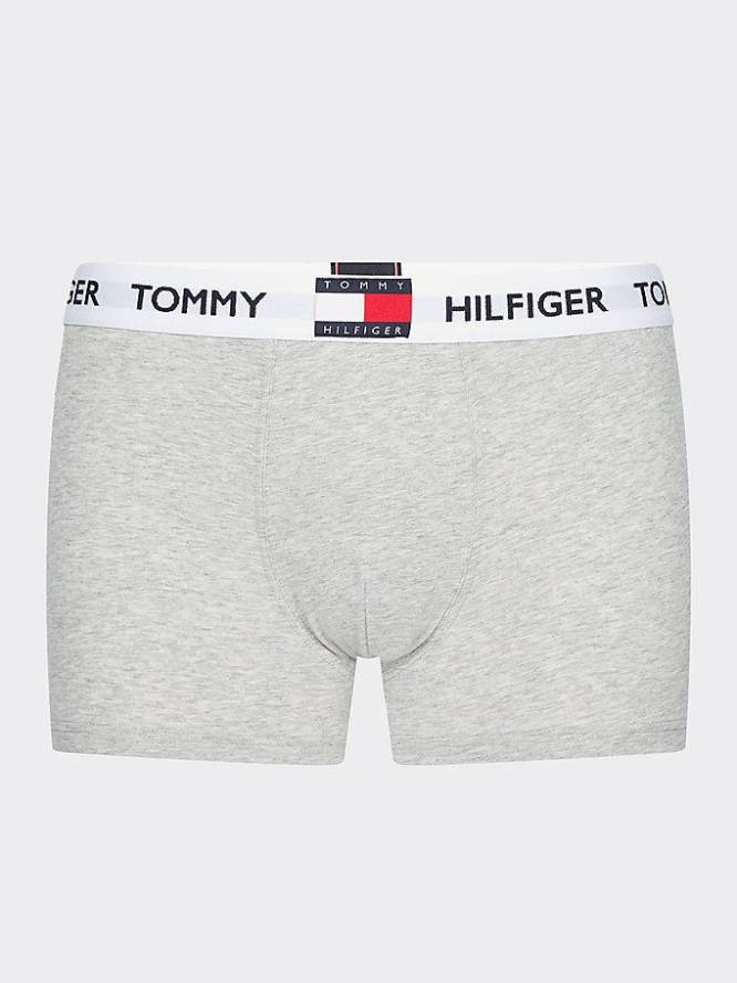 Tommy Hilfiger Logo Waistband Baumwoll Blend Trunks Unterwäsche Herren Hellgrau | AT263NRHZ