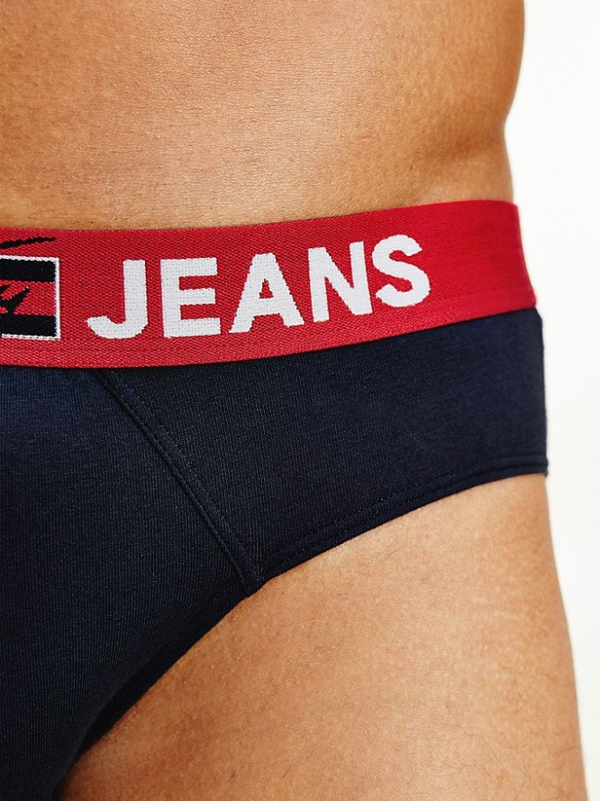 Tommy Hilfiger Logo Waistband Briefs Unterwäsche Herren Dunkelblau | AT431GPEZ