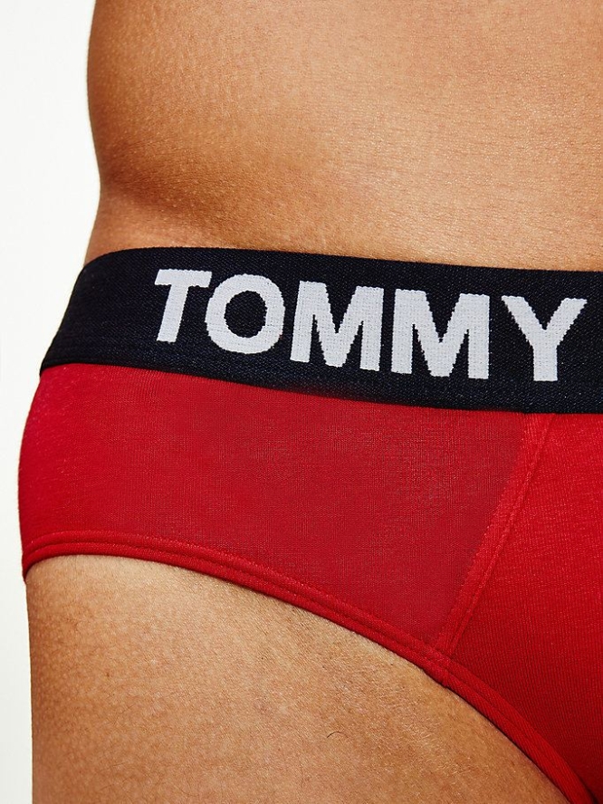 Tommy Hilfiger Logo Waistband Briefs Unterwäsche Herren Rot | AT750JGUR