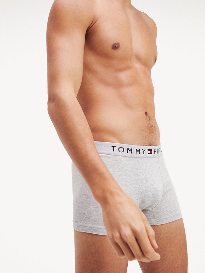 Tommy Hilfiger Logo Waistband Trunks Unterwäsche Herren Grau | AT283KQAY