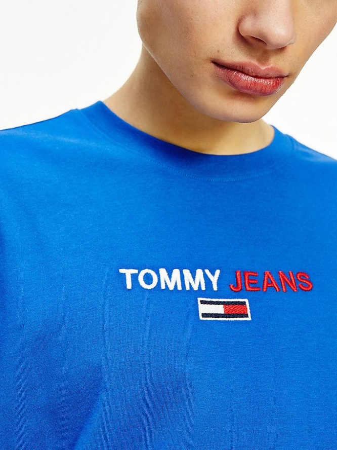 Tommy Hilfiger Long Sleeve Logo T-shirts Herren Blau | AT915IKSO