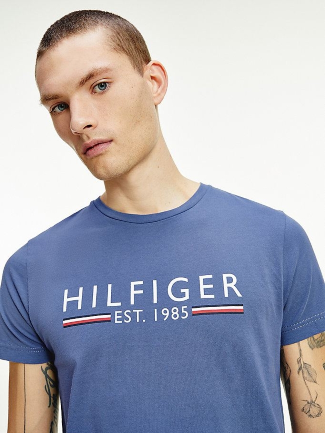 Tommy Hilfiger Organic Baumwoll 1985 Logo T-shirts Herren Indigo | AT730WACV