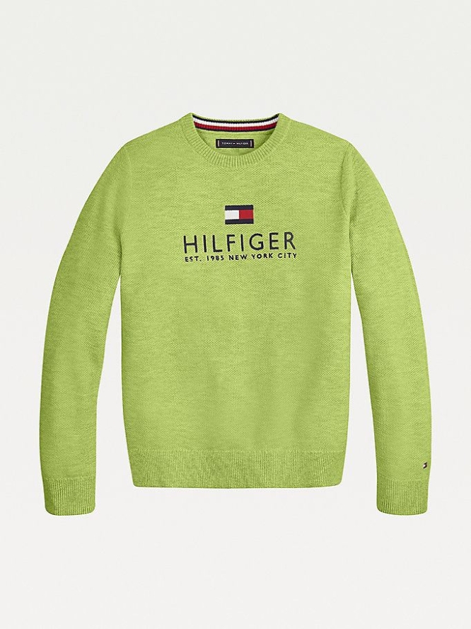 Tommy Hilfiger Organic Baumwoll Logo Embroidery Jumper Hoodie Kinder Hellgrün | AT123OAUB