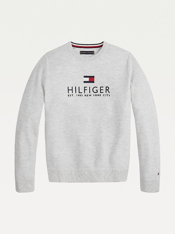 Tommy Hilfiger Organic Baumwoll Logo Embroidery Jumper Hoodie Kinder Hellgrau | AT135KYRI