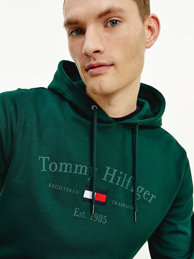 Tommy Hilfiger Organic Baumwoll Logo Embroidery Hoodie Herren Grün | AT158JCAP