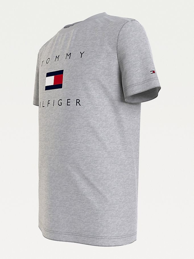 Tommy Hilfiger Pure Organic Baumwoll Logo T-shirts Kinder Hellgrau | AT435ZFOR