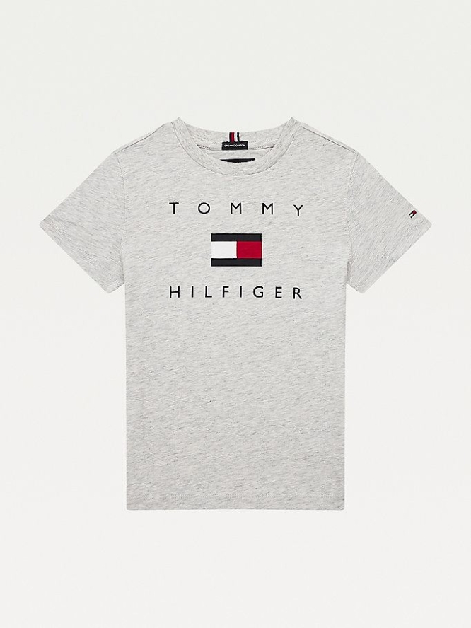 Tommy Hilfiger Pure Organic Baumwoll Logo T-shirts Kinder Hellgrau | AT435ZFOR