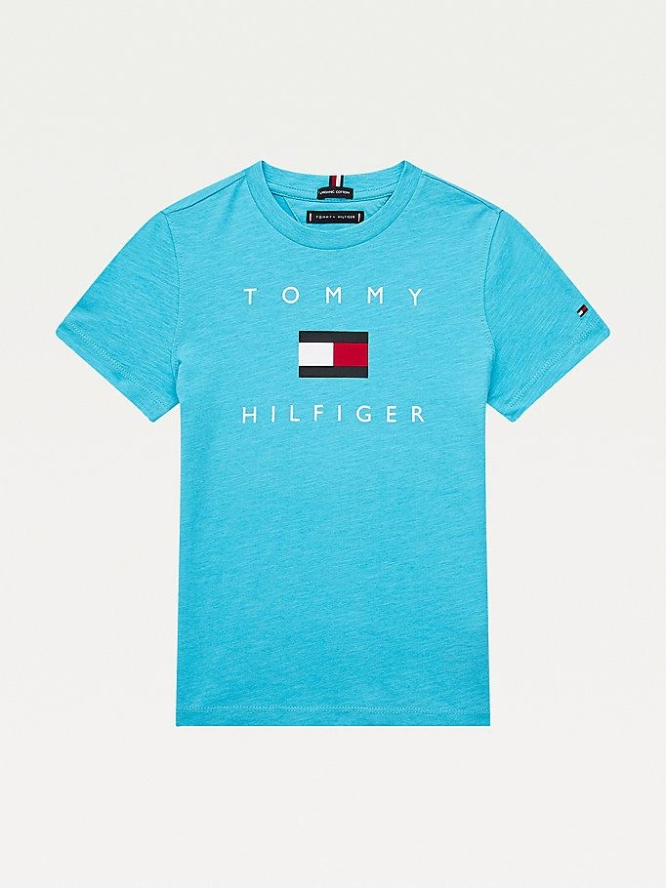 Tommy Hilfiger Pure Organic Baumwoll Logo T-shirts Kinder Grau Blau | AT782TPFN