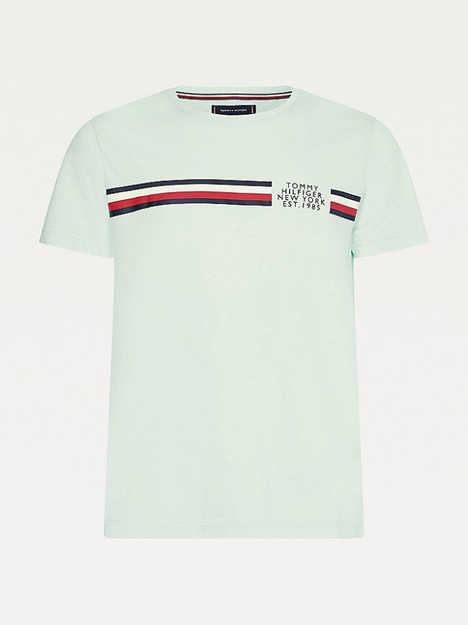 Tommy Hilfiger Signature Detailing Organic Baumwoll T-shirts Herren Grün | AT302UPOT