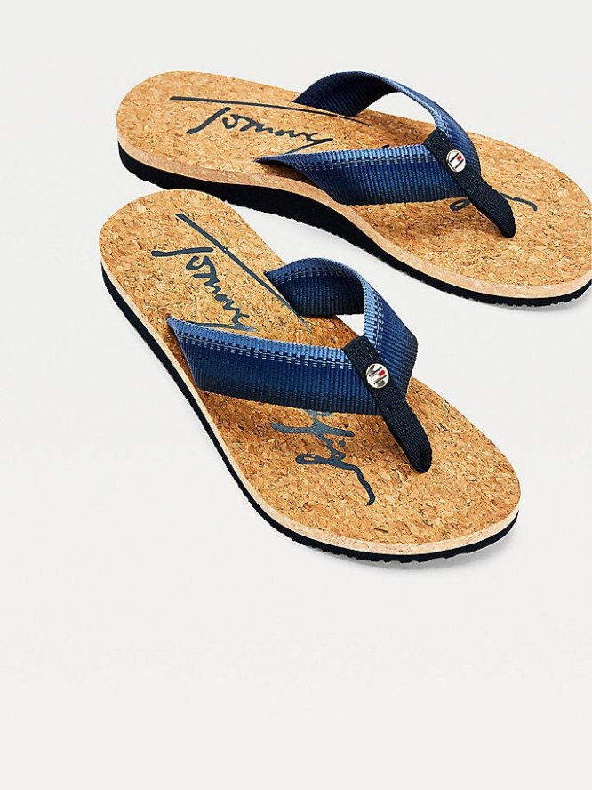 Tommy Hilfiger Signature Gradient Flip Flops Damen Dunkelblau | AT065OJWS