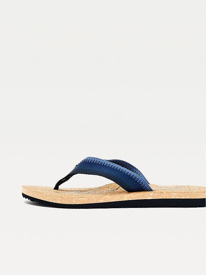 Tommy Hilfiger Signature Gradient Flip Flops Damen Dunkelblau | AT065OJWS