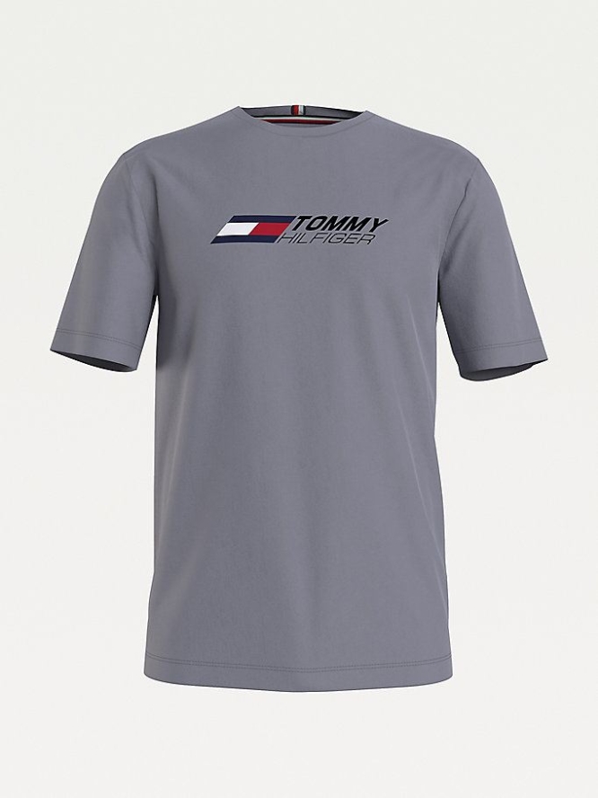 Tommy Hilfiger Sport TH Cool Slim Fit T-shirts Herren Silber | AT105JWCT