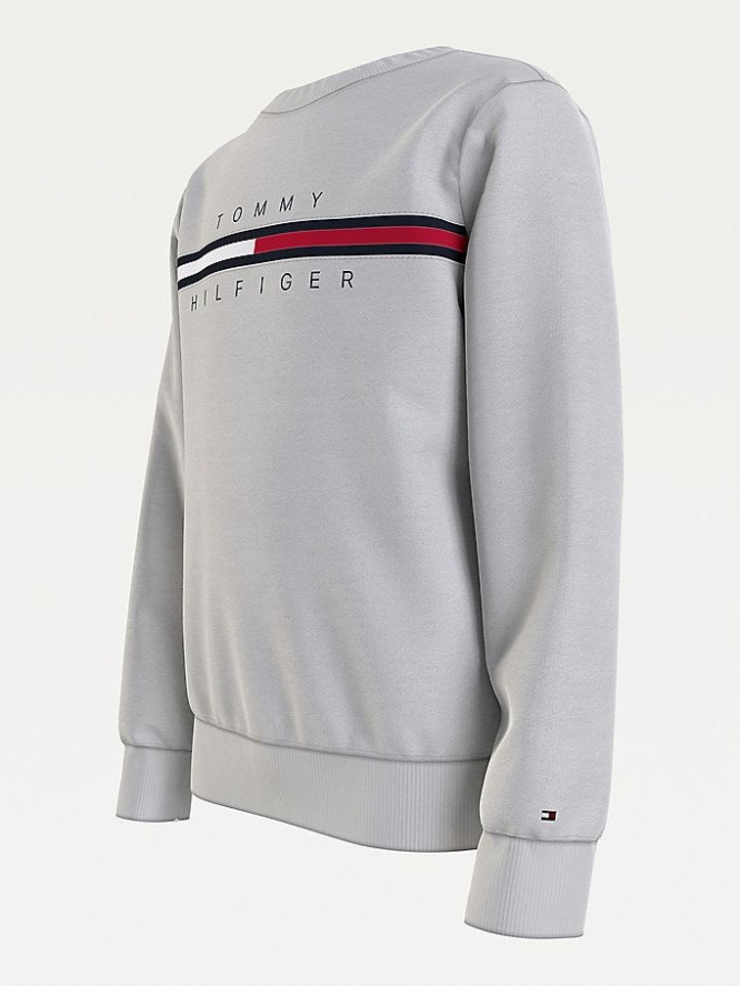 Tommy Hilfiger TH Cool Logo Sweatshirts Kinder Hellgrau | AT546AFIL